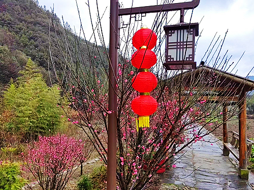 微信圖片_20230212205822.jpg