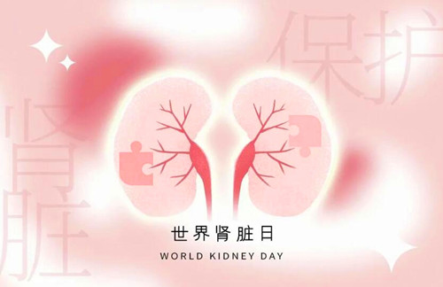 QQ截圖20230314132808.jpg
