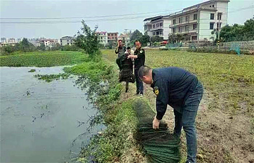 執(zhí)法.jpg