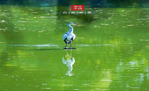QQ截圖20230909152051.jpg