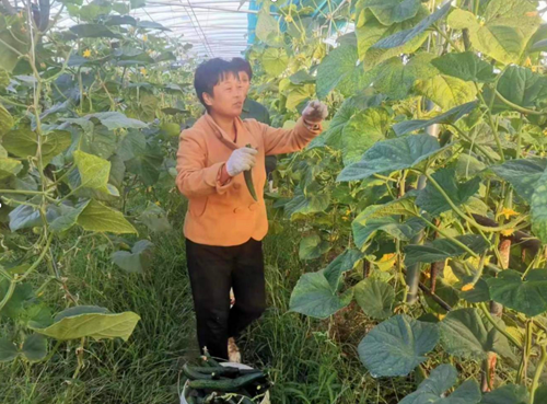 QQ截圖20231121153741_副本.png