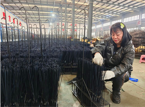 QQ截圖20231130172521.jpg